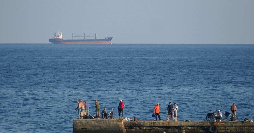 First Cargo Ships Arrive in Ukraine Since Russia Ended a Grain Deal