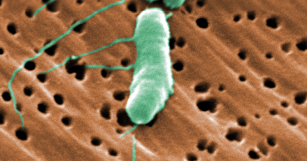 The Beach Is Lovely. The Water, Maybe Not So Much.